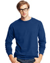 Hanes Mens ComfortSoft 4-Pack Long-Sleeve Crewneck T-Shirts