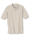 Hanes Cotton-Blend Jersey Men's Polo