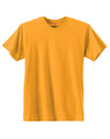 Hanes Men's Nano-T T-shirt