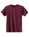 Hanes Men's Nano-T T-shirt